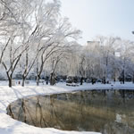 雪景